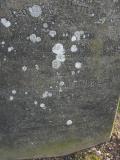 image of grave number 175388